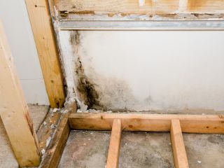 Identify Mold in Your Home and Deal with It, Hacienda Heights Identify Mold in Your Home and Deal with It, Hacienda Heights CA